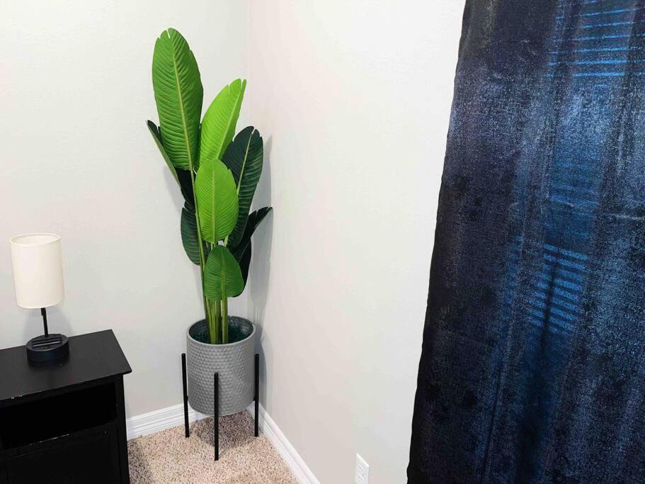 HTX City Getaway w/ Fast Wi-Fi view 3