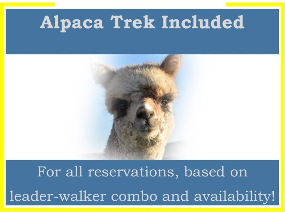 The Alpaca Farmhouse with hot tub and complimentary alpaca experience view 5