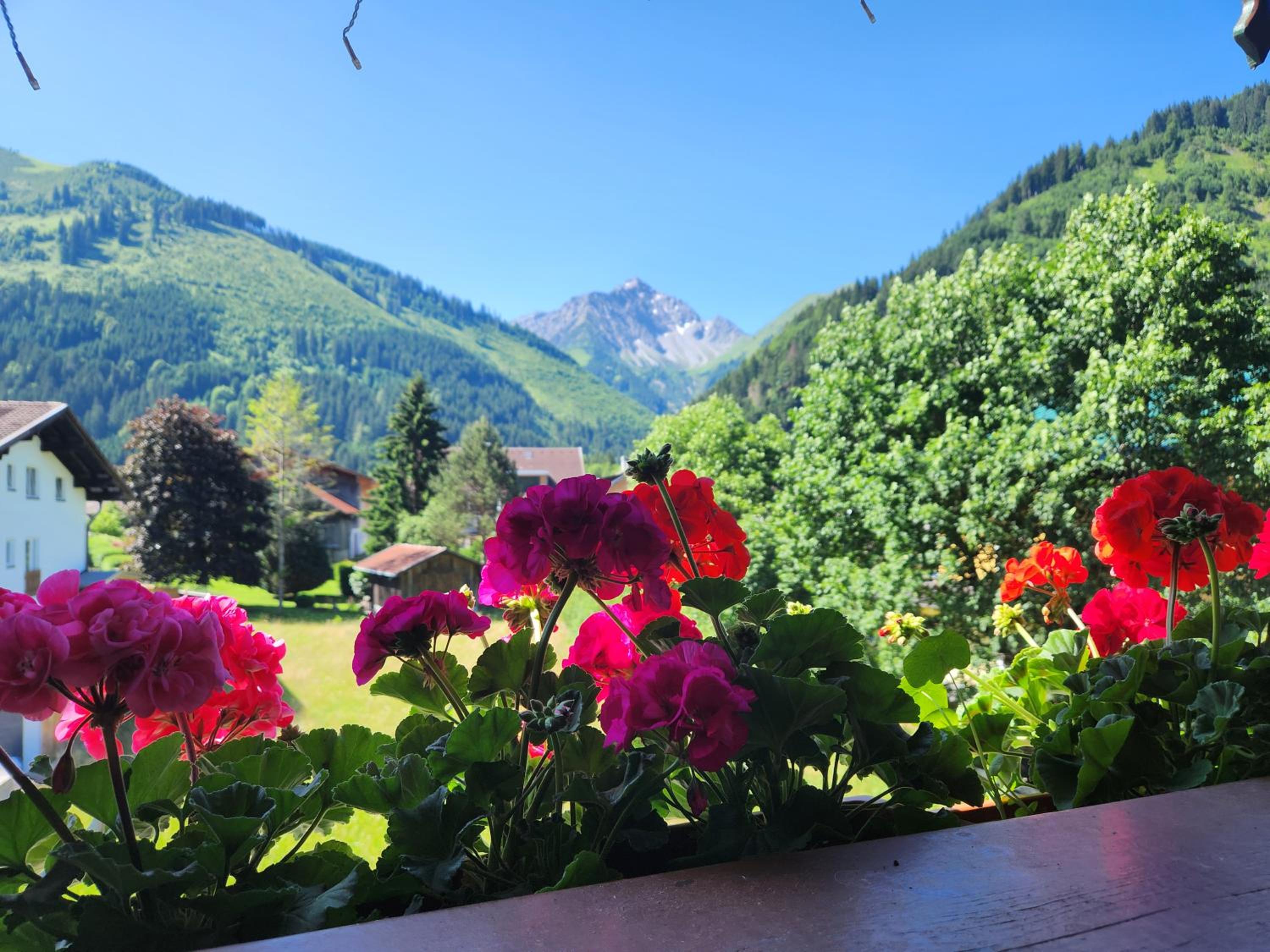 am Mühlbach - Ferienwohnungen Luttinger