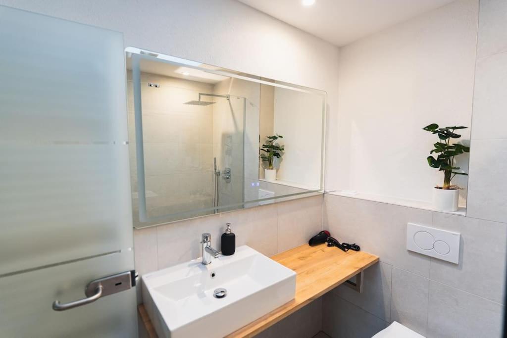 Loft in Eltville am Rhein - 2 DZ