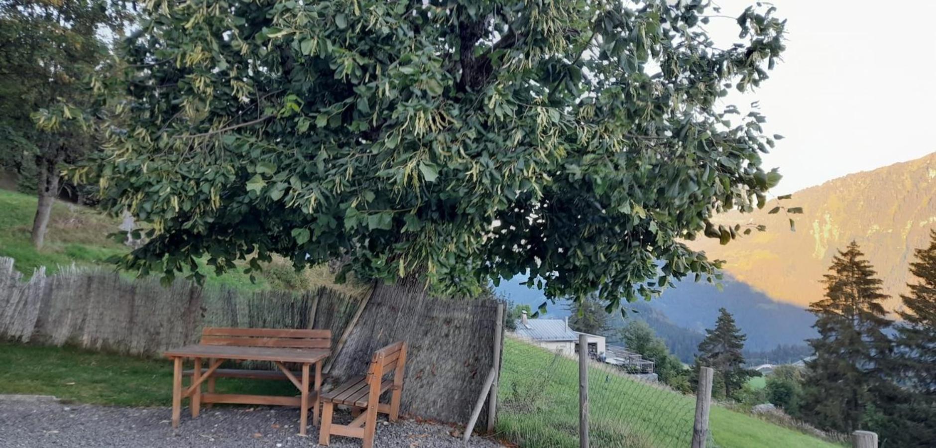 Appartement CHENILLE charmant 2 pièces plein pied avec jardin et vue magnifique