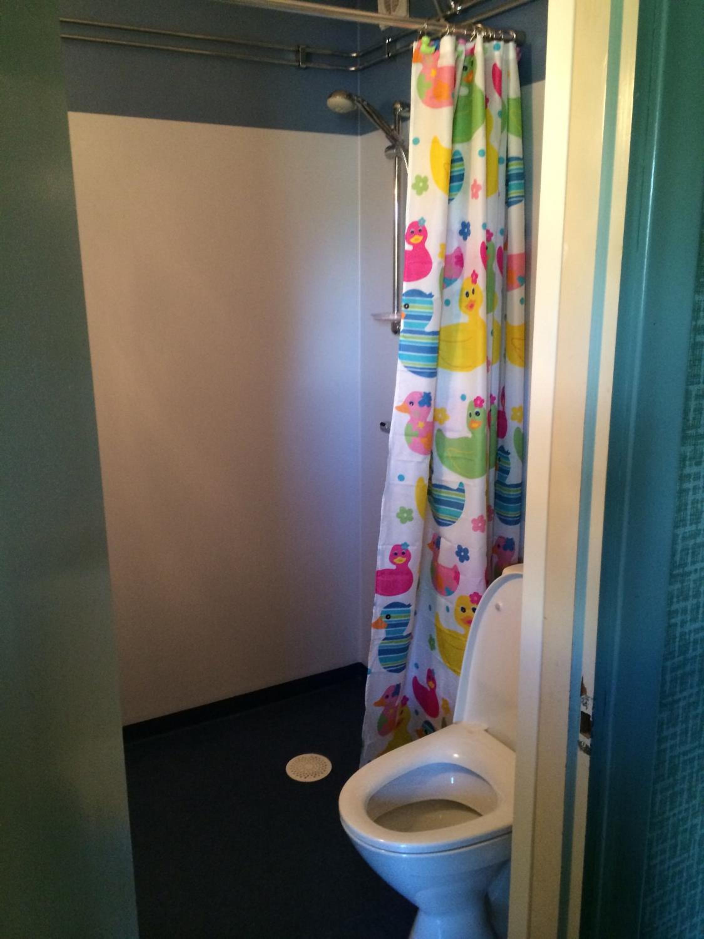 Photo 8