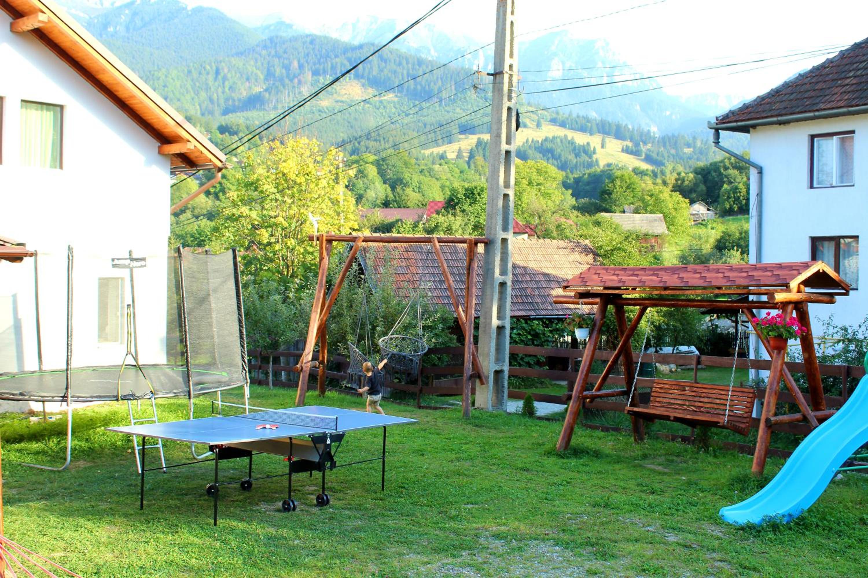Photo 41