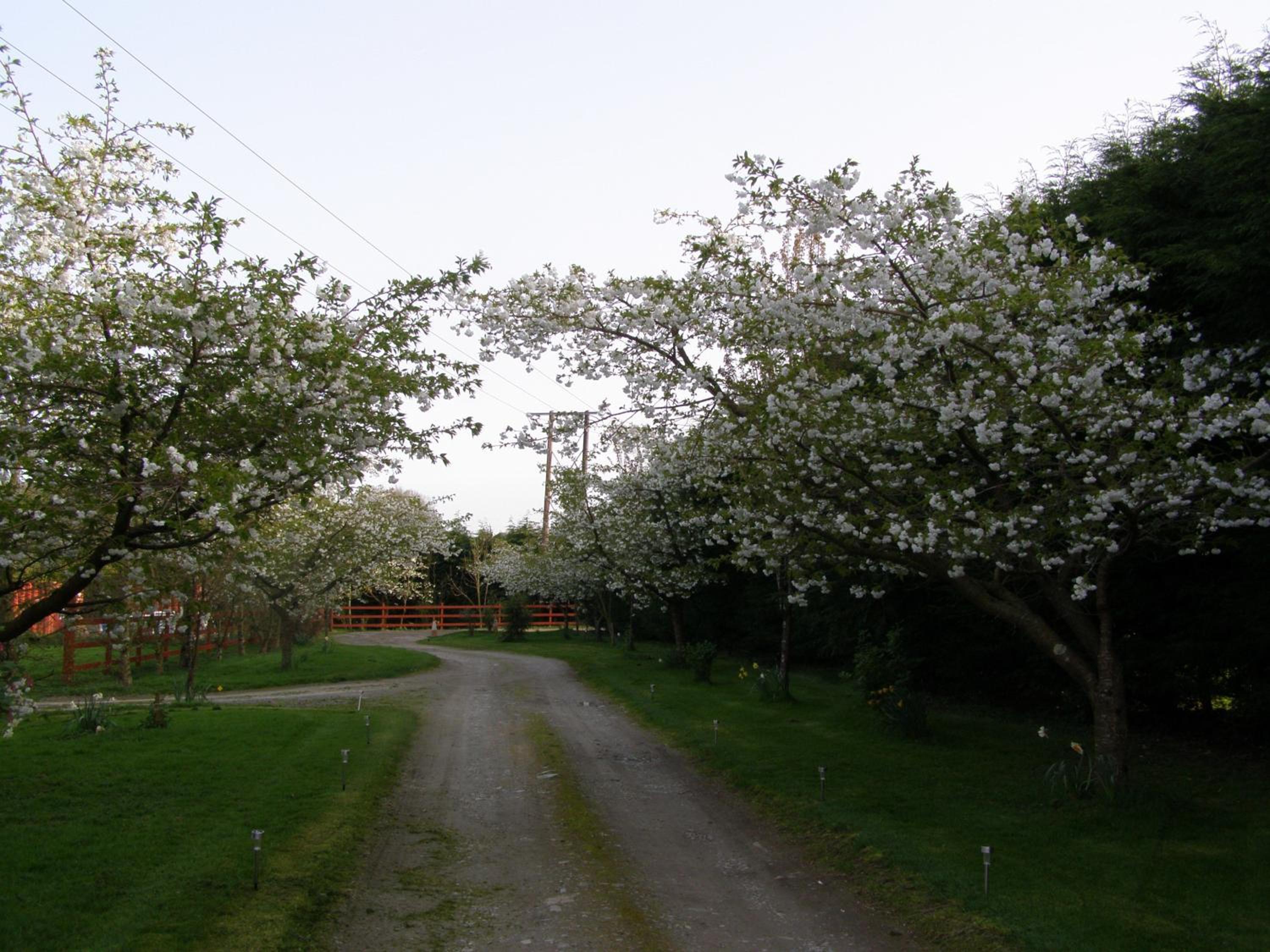 Photo 41