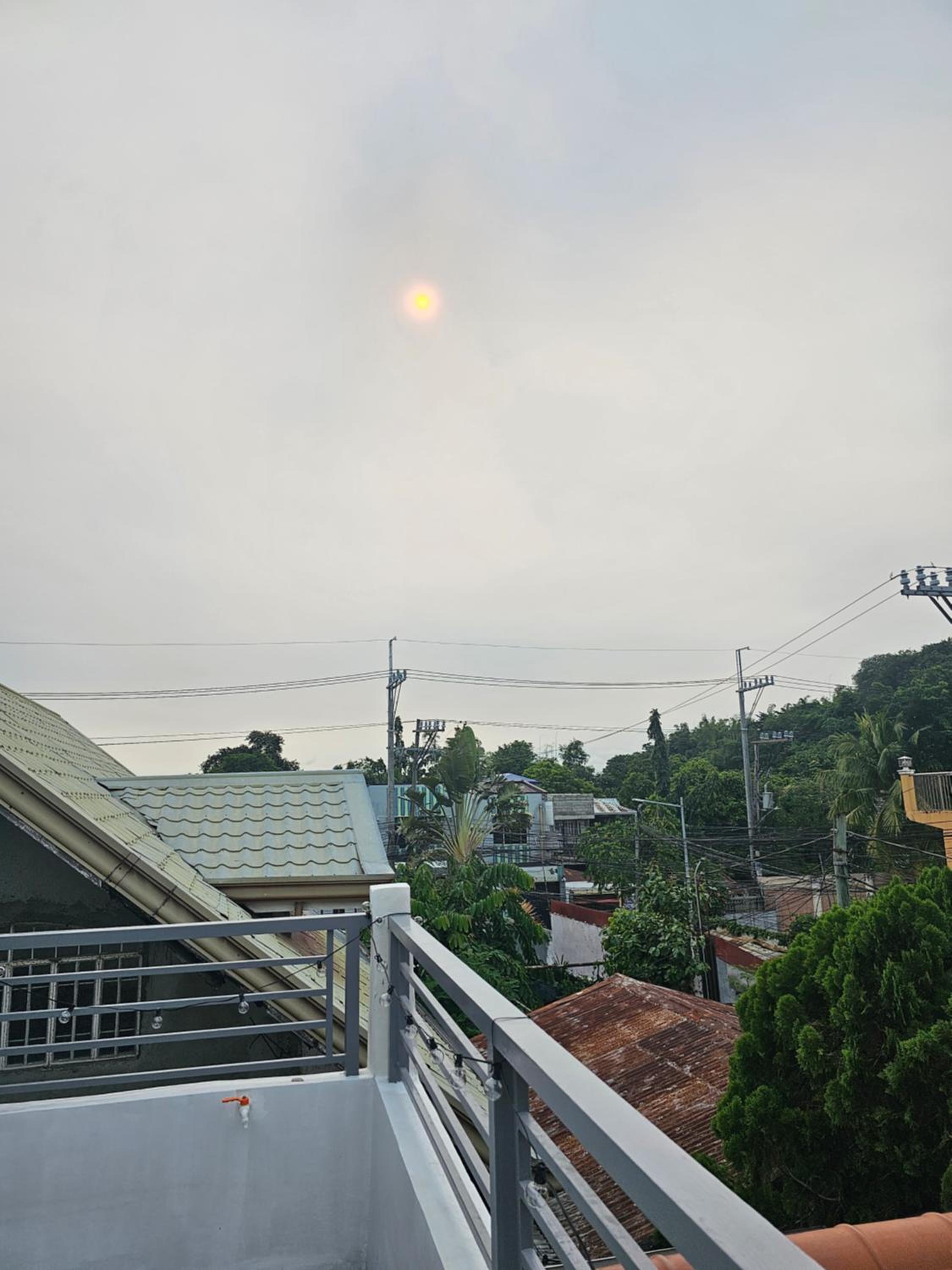Photo 44