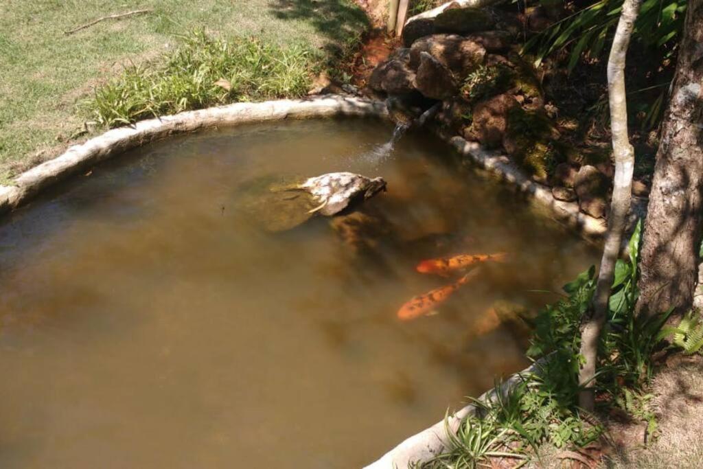Vila Linda Flor