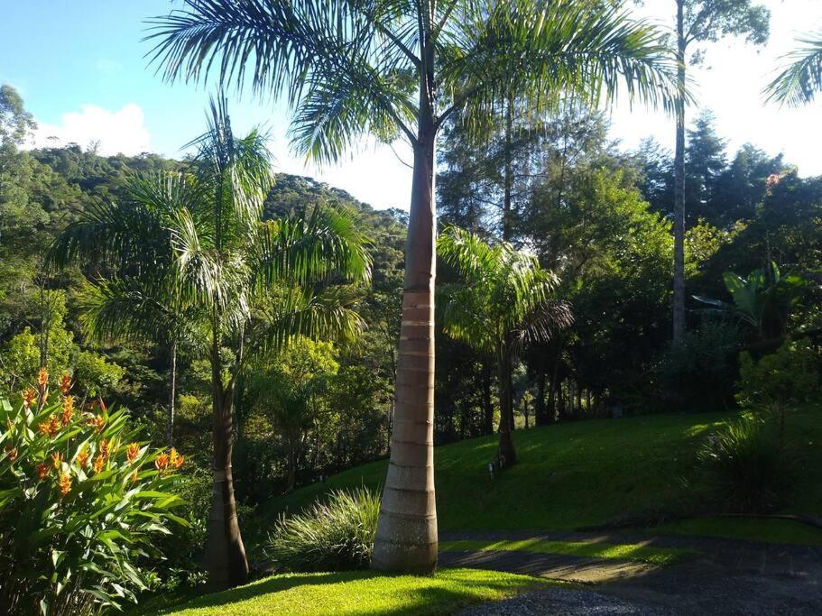 Vila Linda Flor