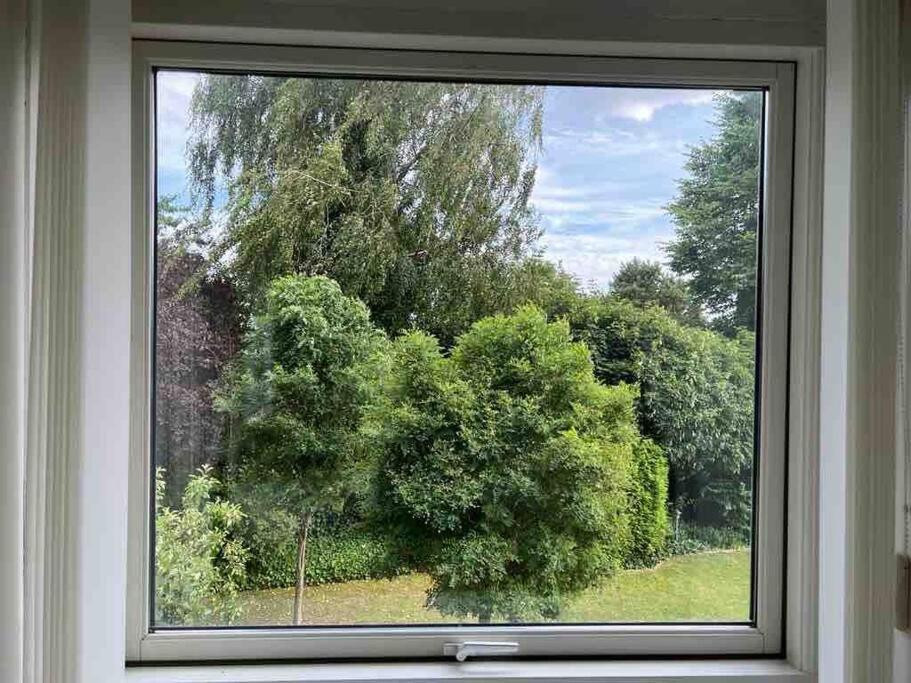 Renovated apartment