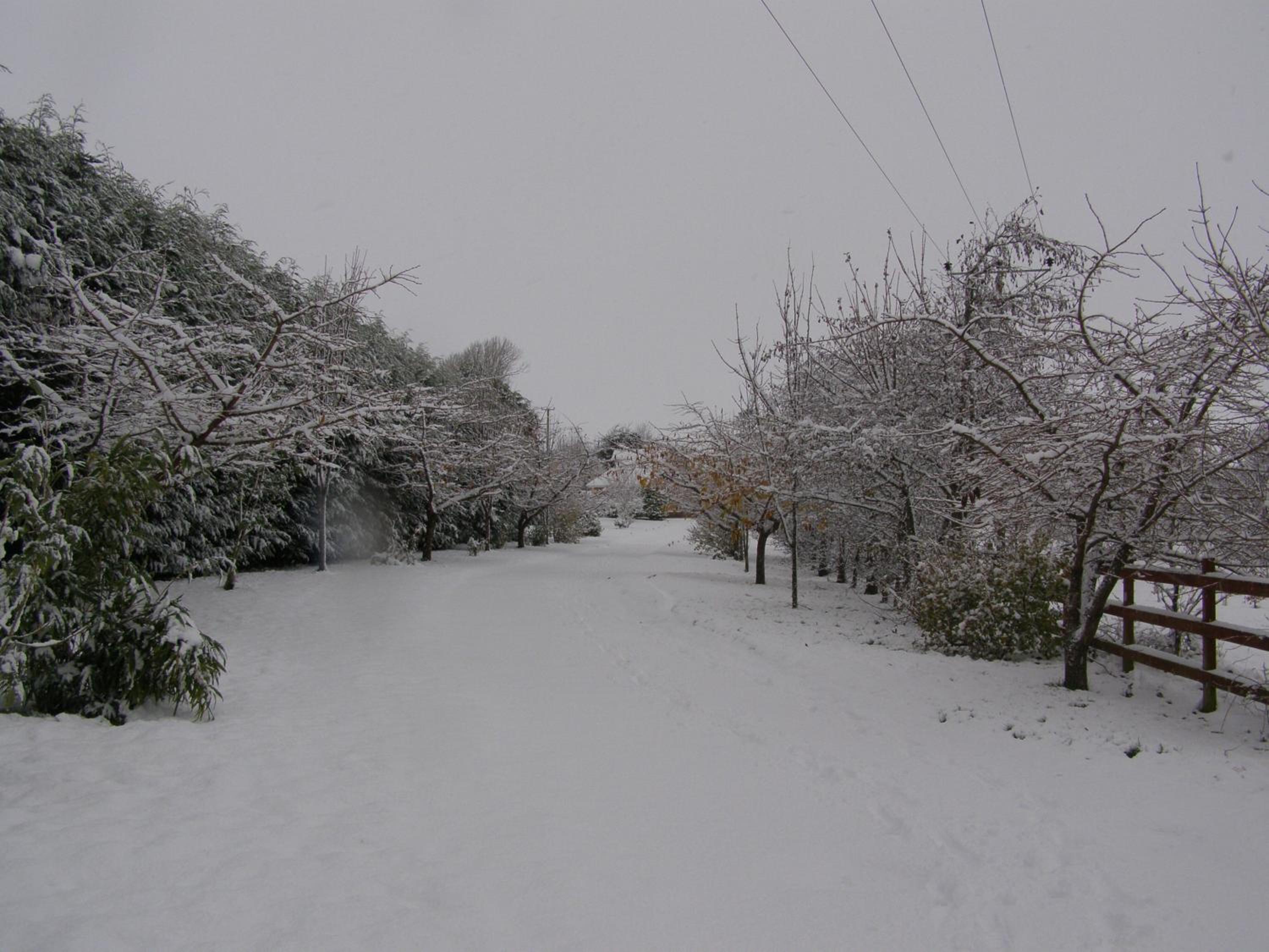 Photo 44