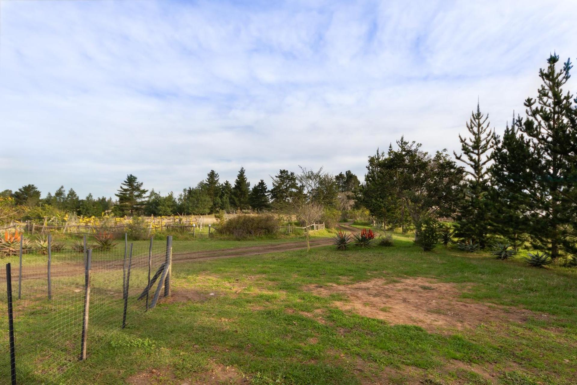 Balintore Guest House