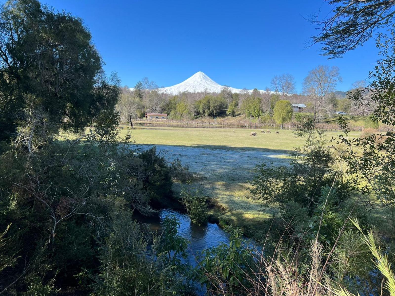 El Rincon de la Olguita