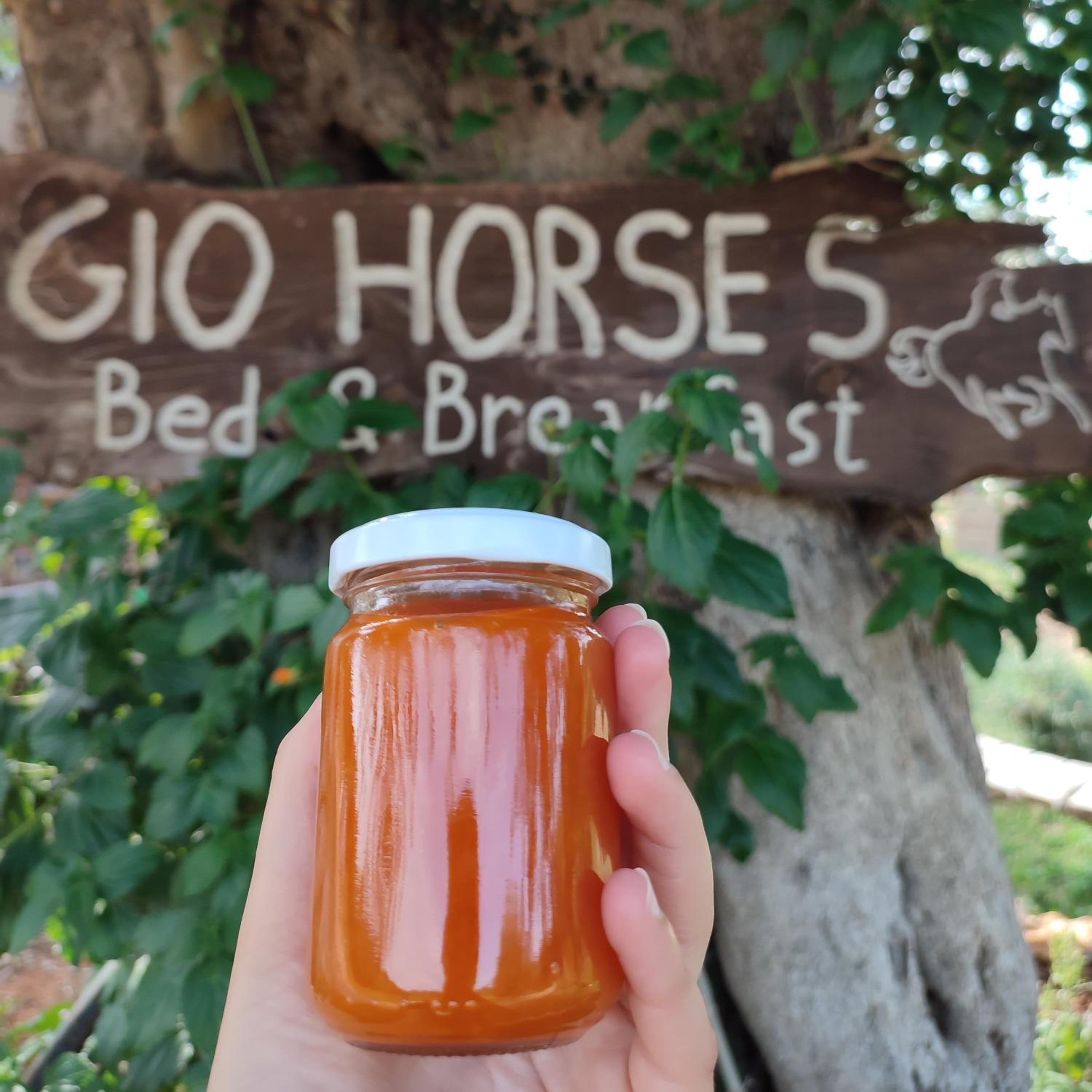 Gio Horses B&B