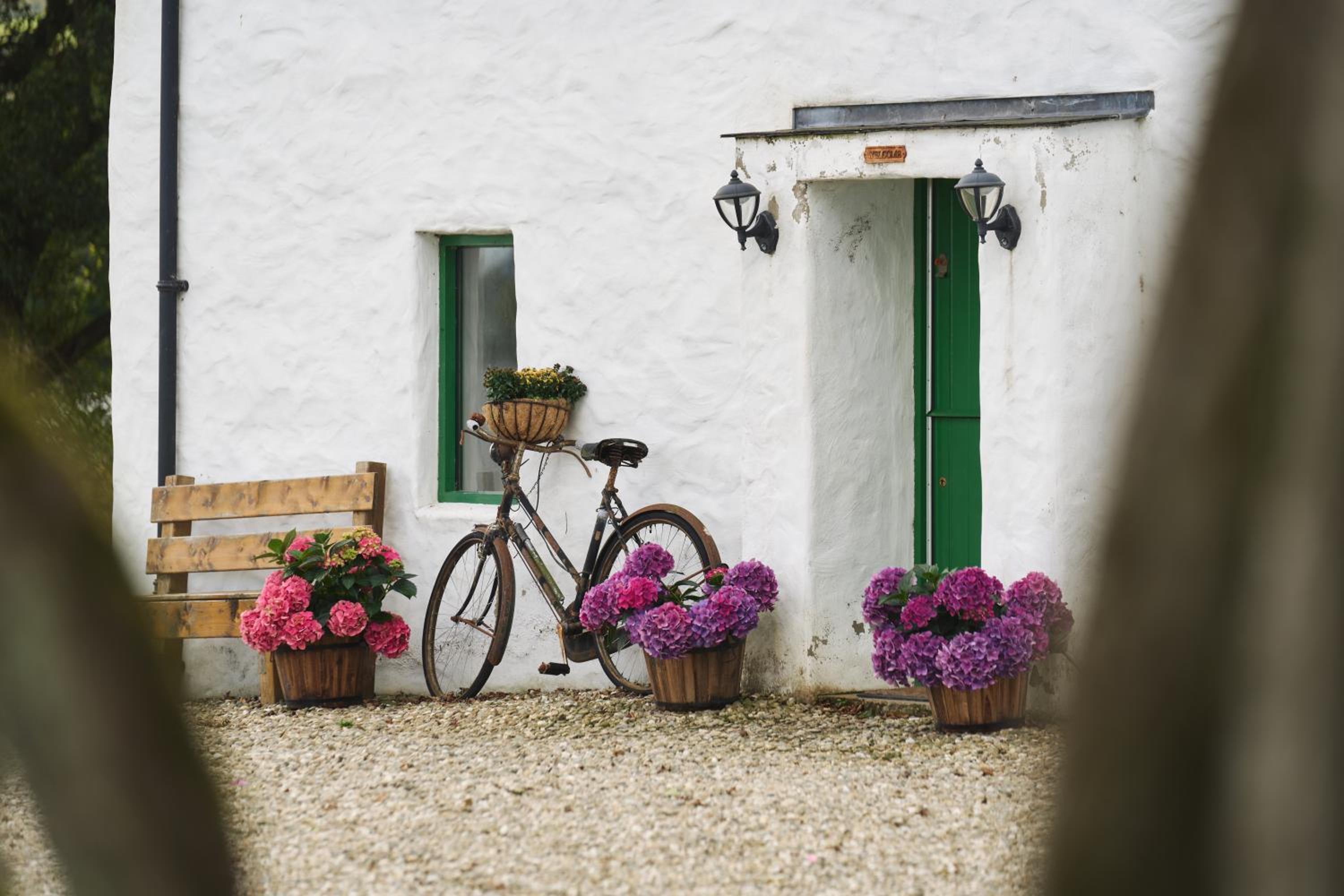 Maggie Deenys Cottage
