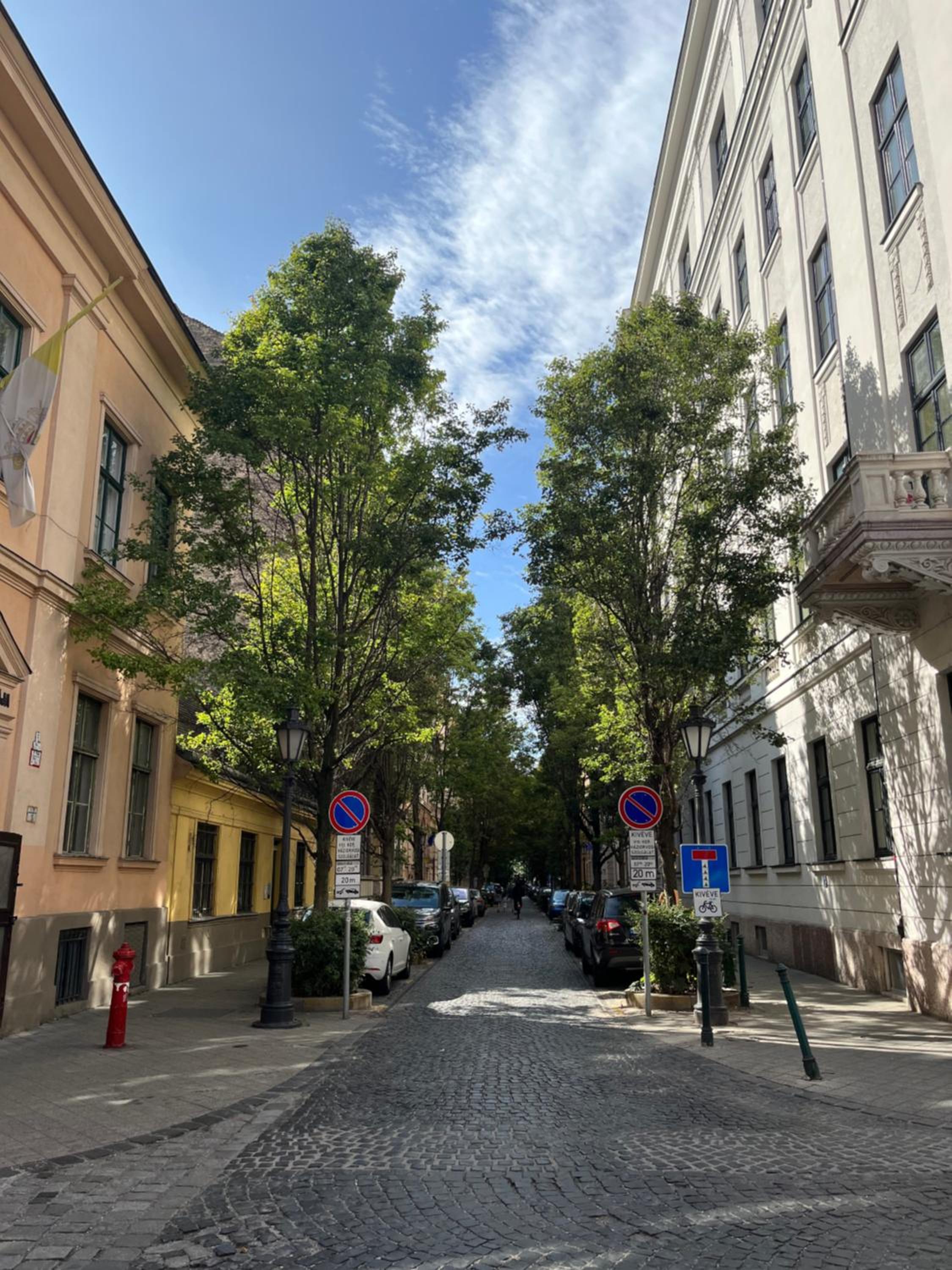 Quiet and Stylish Rooms in the Palace District