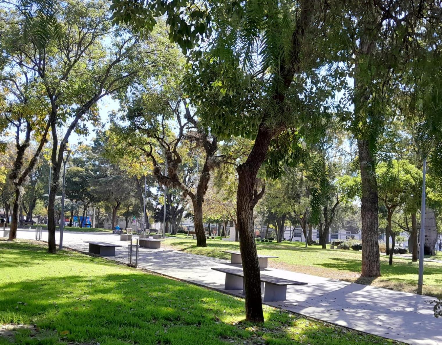 Departamentos Junin