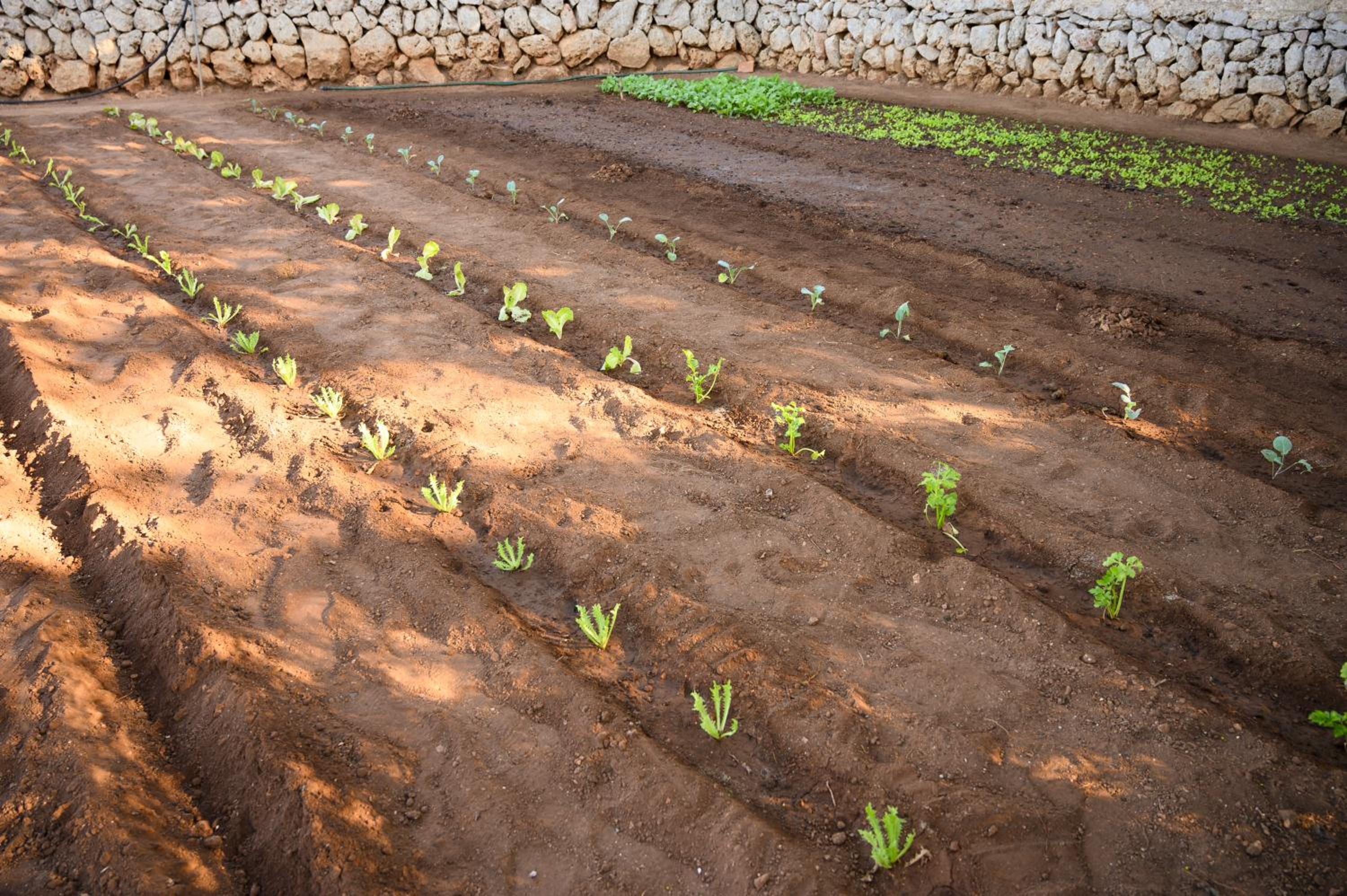 Llucmaçanes Gran Agroturismo