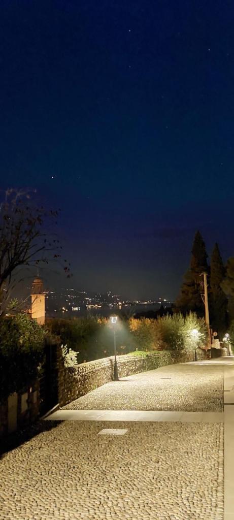 Photo 44