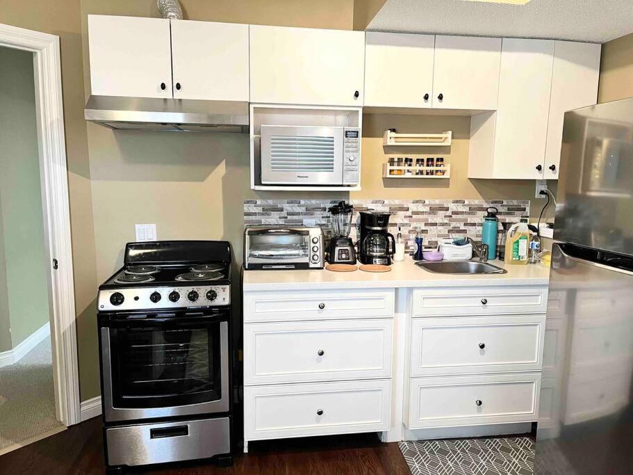 Cozy Walkout suite with King bed, Kitchen, Parking & Patio