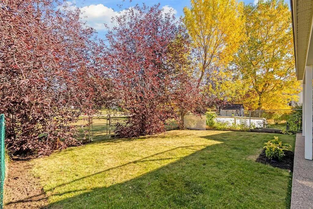 Cozy Walkout suite with King bed, Kitchen, Parking & Patio