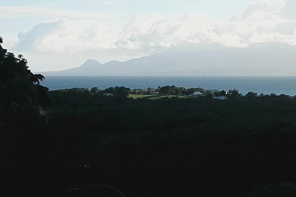 T4 Ixora à Mare-Gaillard Gosier view 4