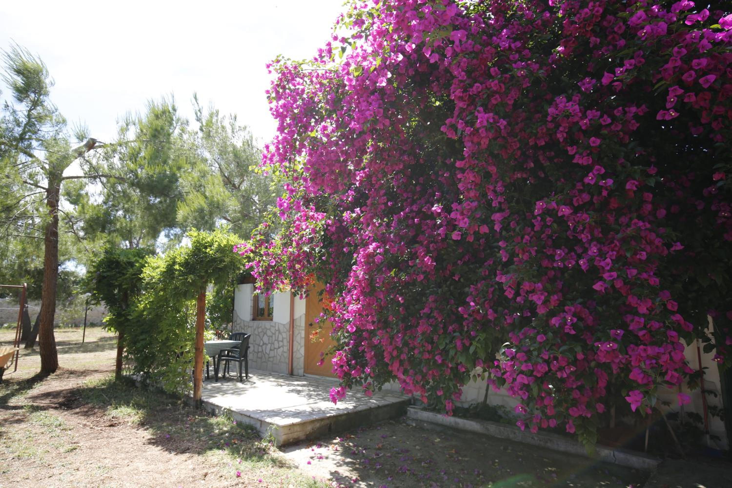 Agriturismo Posta Pastorella