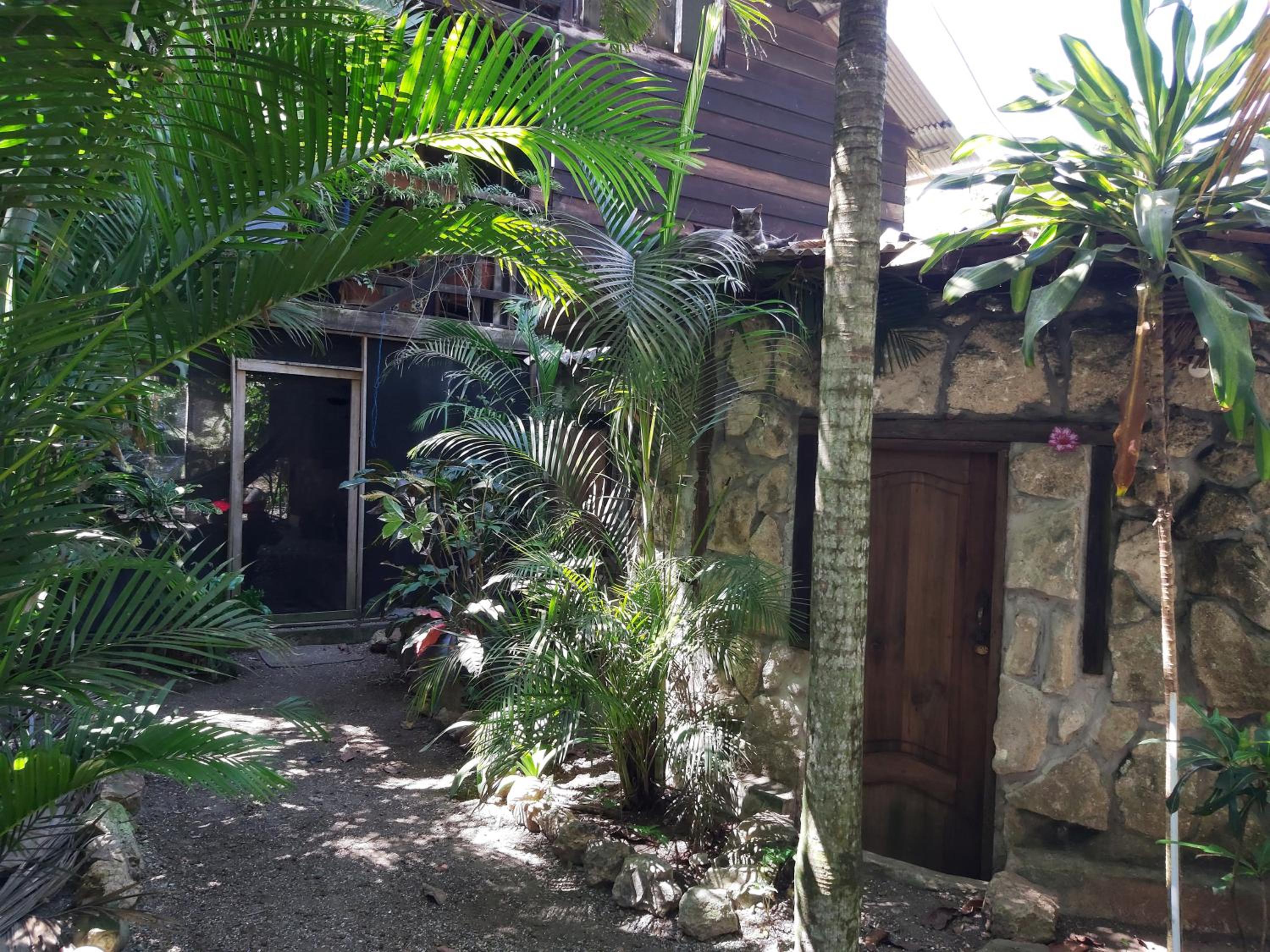 La Cabañita