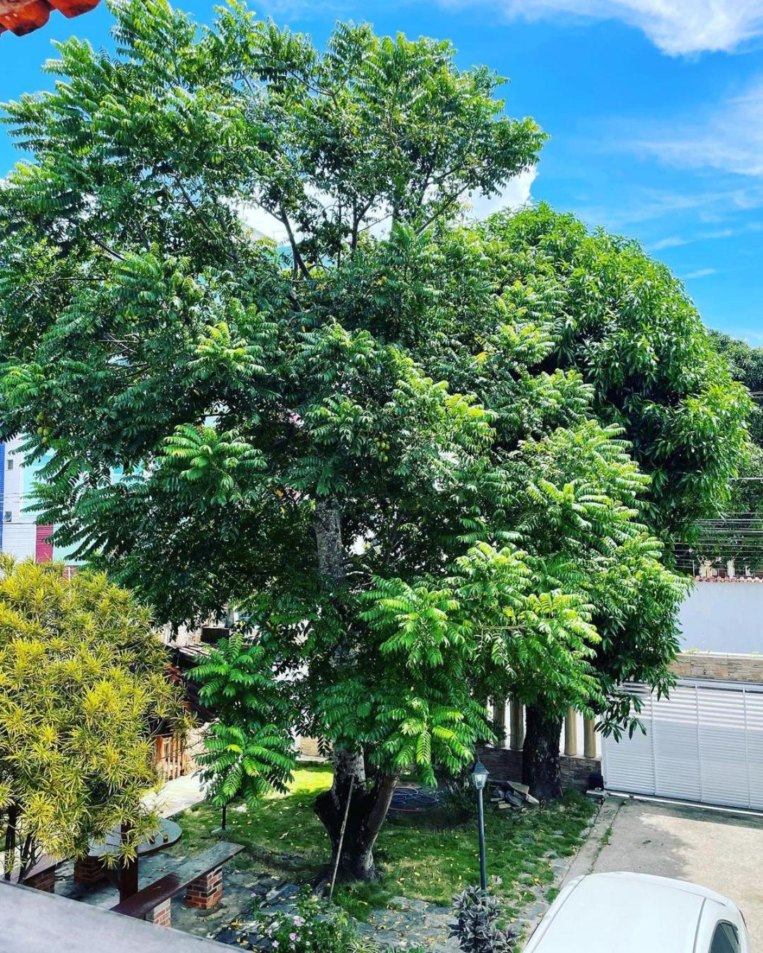 Casa do Tio Patricio