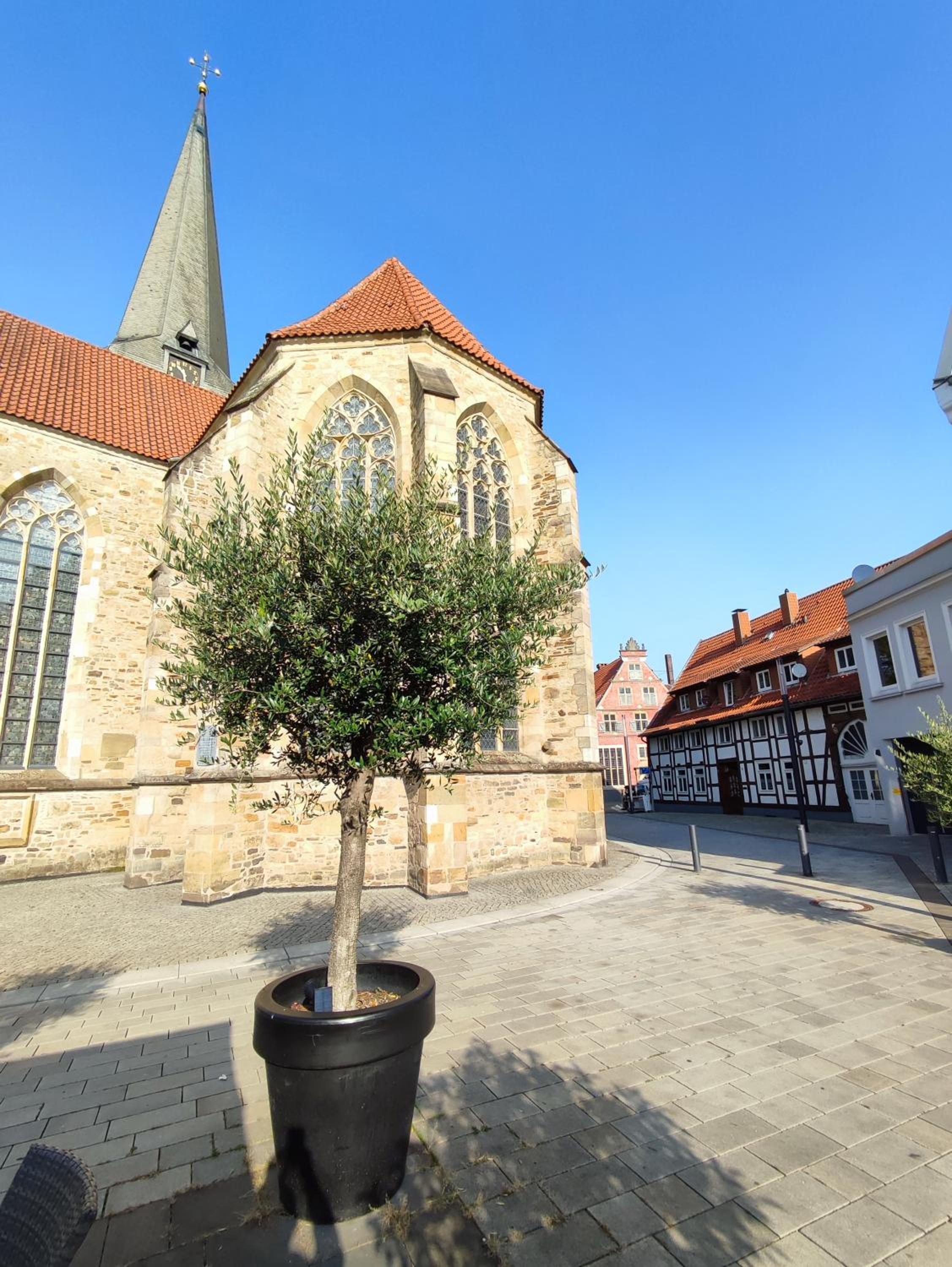 Flair Apartments 'FACHWERK & FLAIR' - Altstadt-Apartment 78 qm für Urlaub oder Geschäftsreise, Innenstadtlage, ruhig, modern, 900 m Bahnhof, 24 Std Check-i