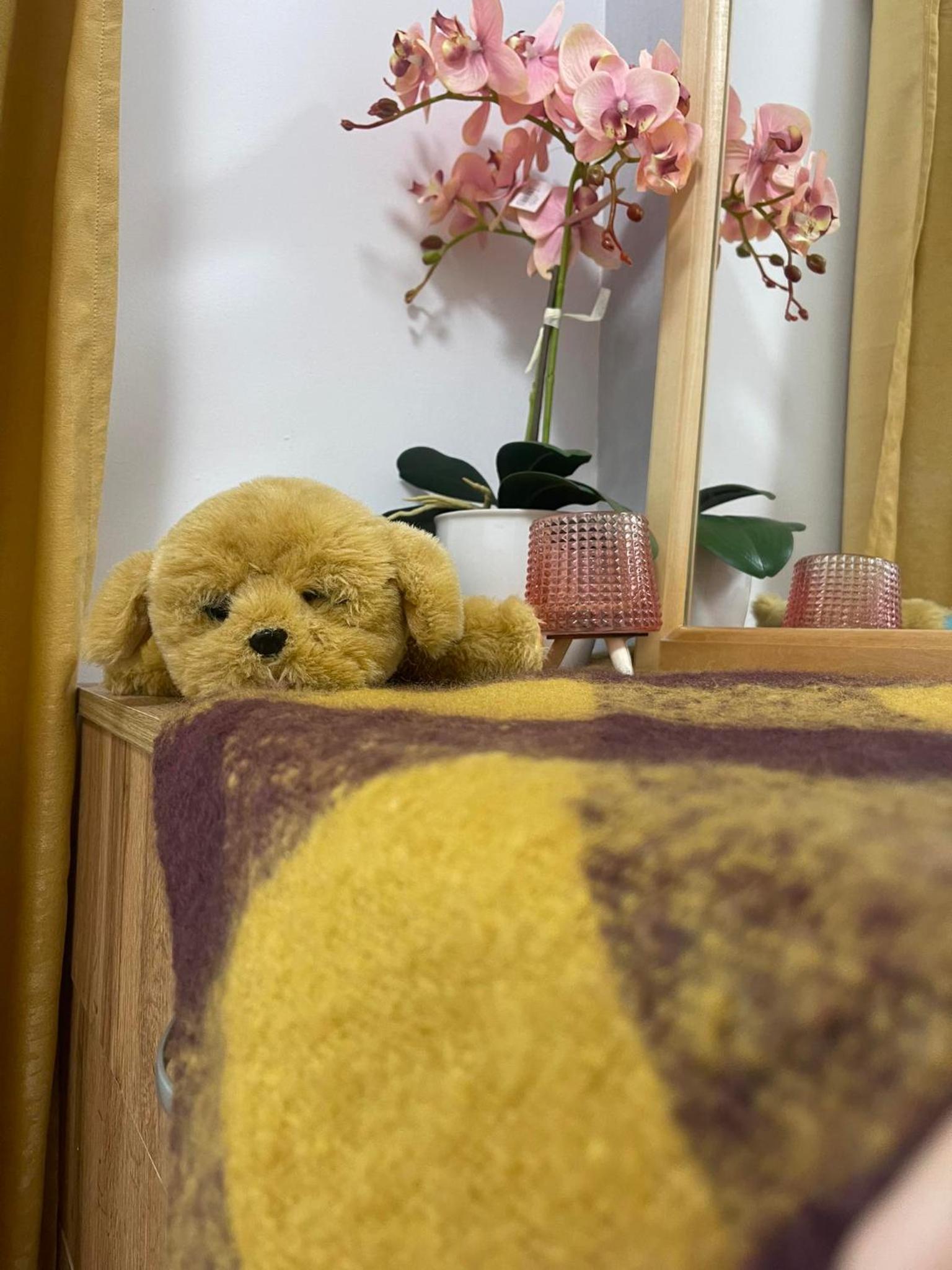 2BDR Stylish Apartment in the Heart of Sofia