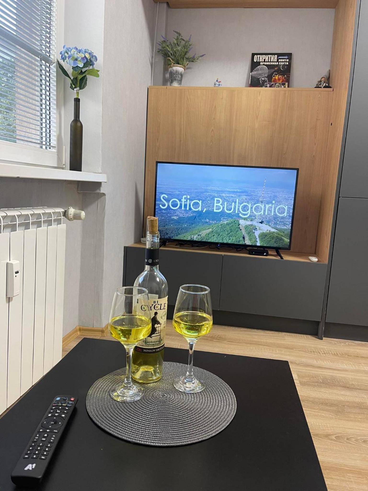2BDR Stylish Apartment in the Heart of Sofia
