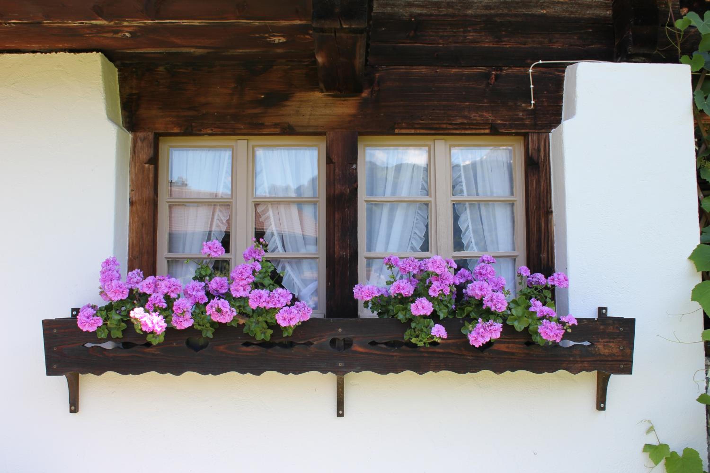 B & B Brienz
