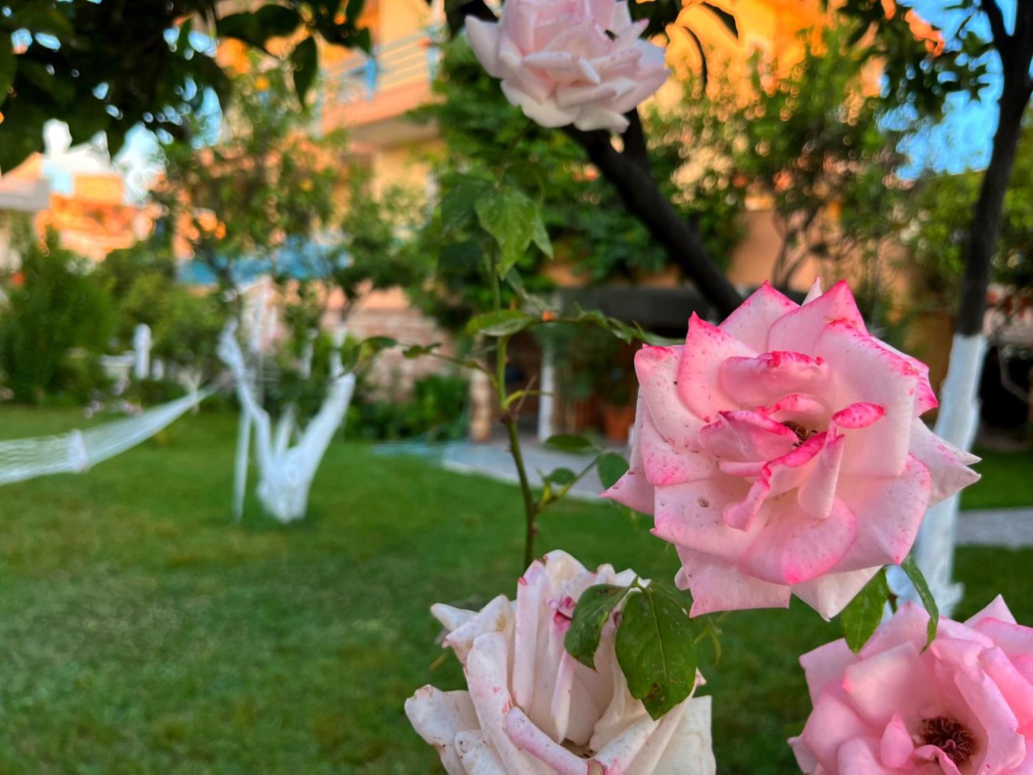 Vila Laura