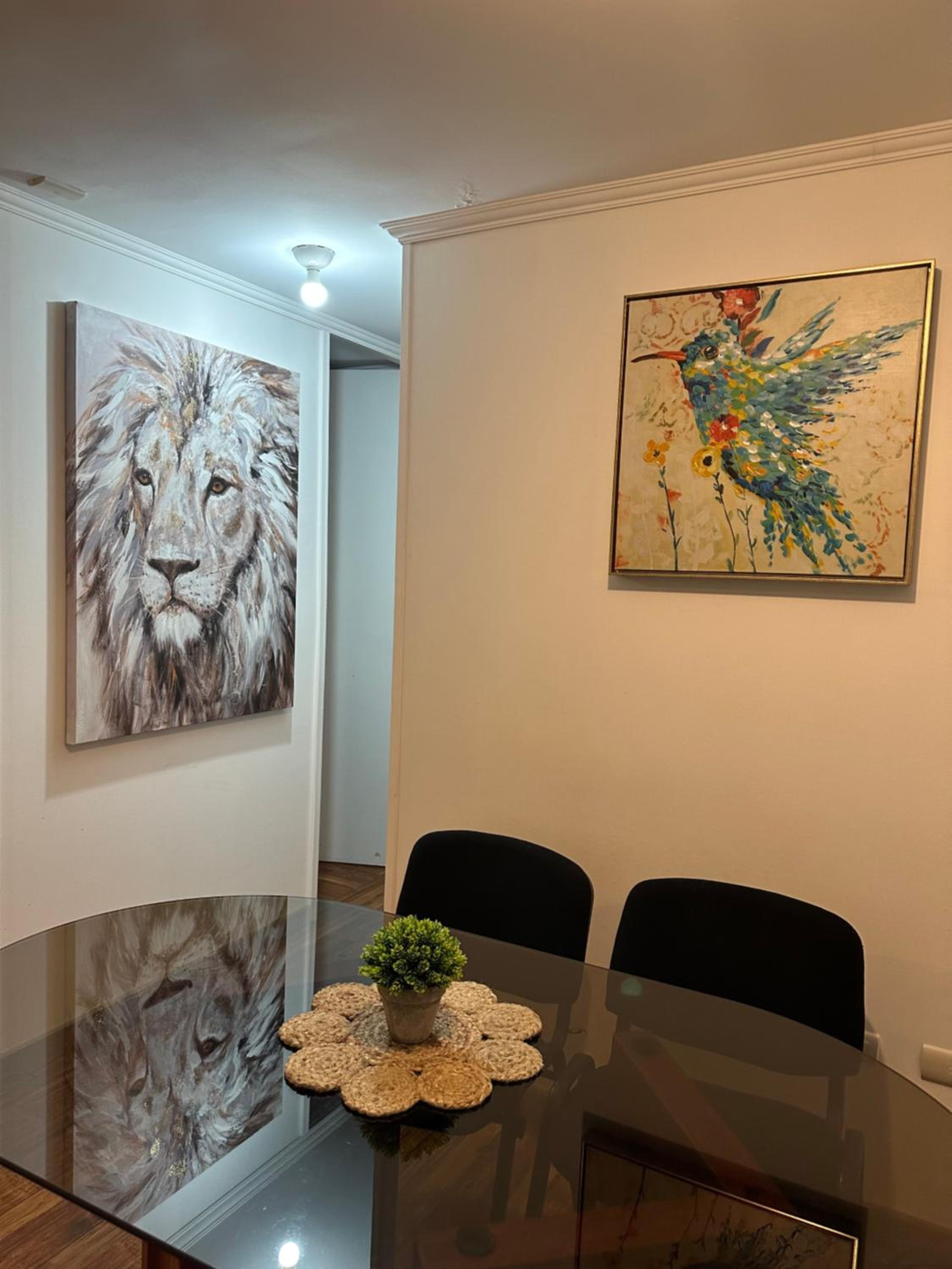 Apartamento punta Arenas