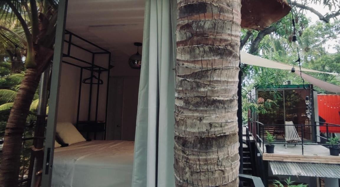 CASA V - Mizata view 3
