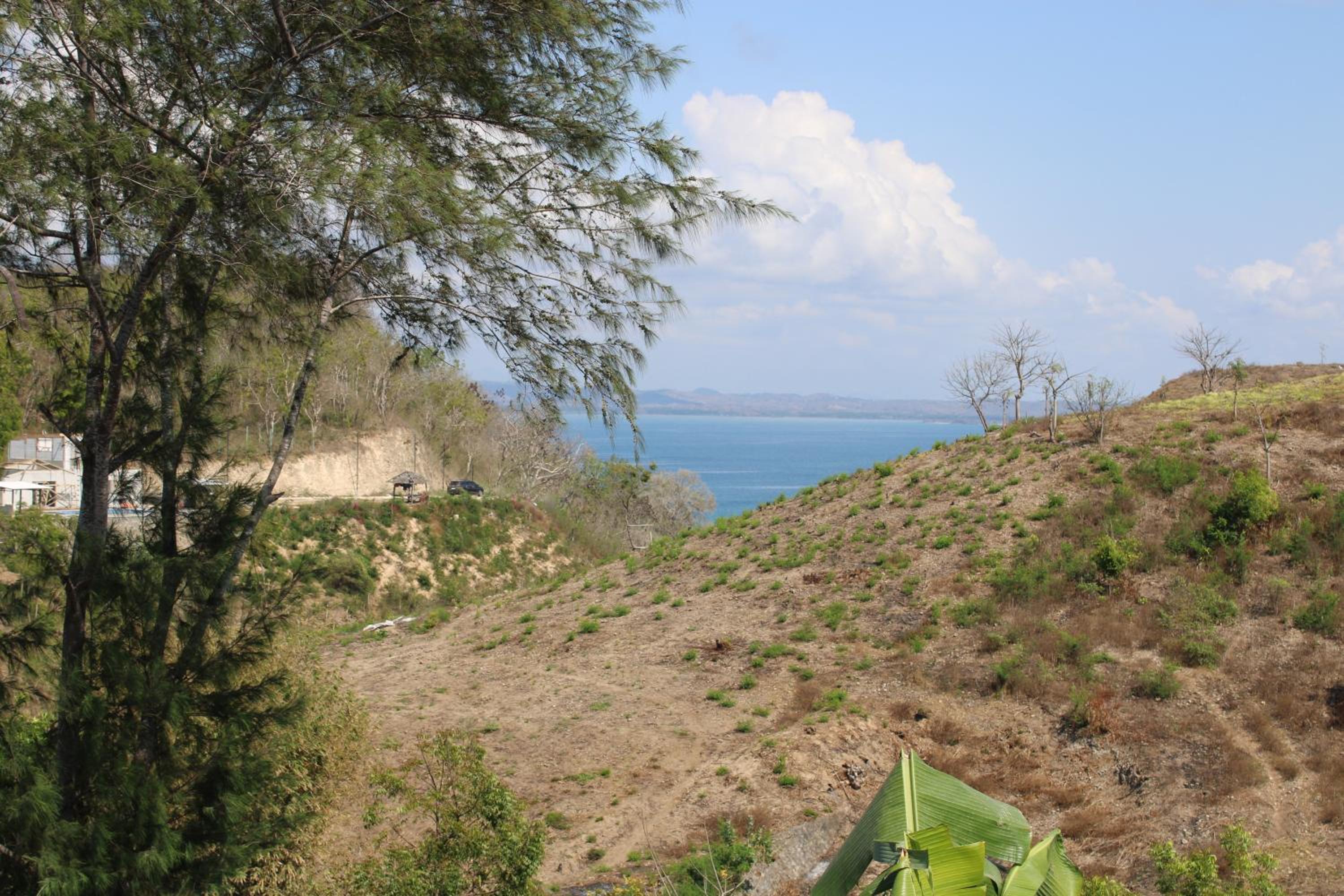 Feby's Homestay view 3