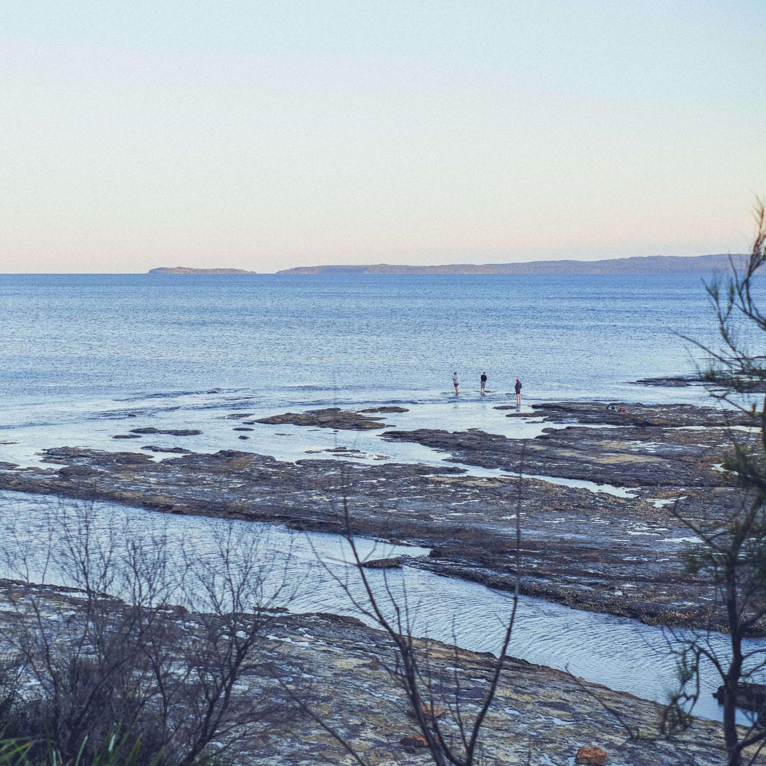 The Bay House