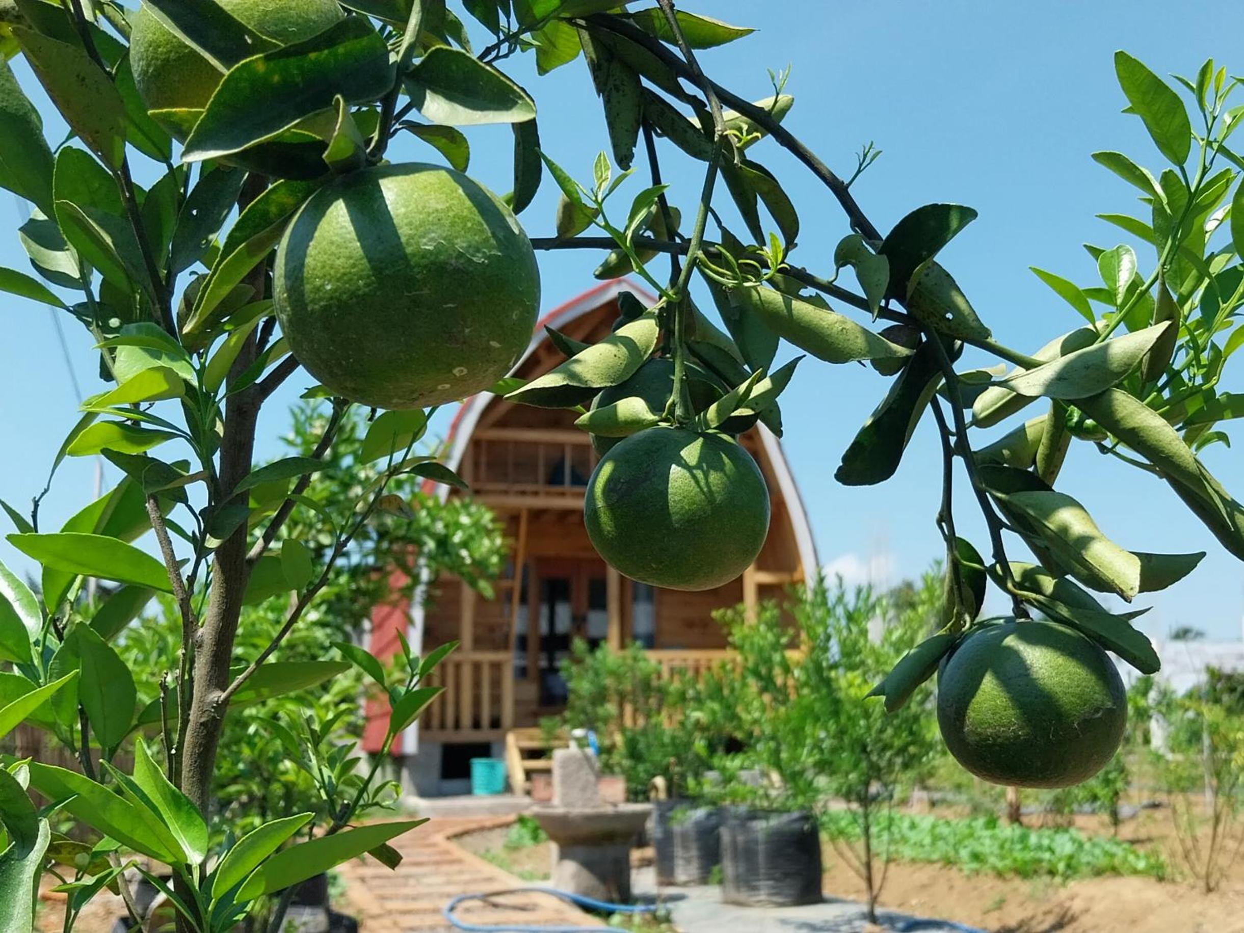 Raturinjani homestay