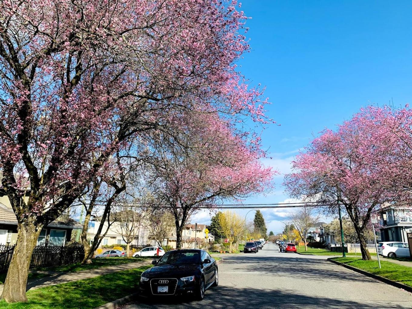 Charming East Van Hideaway - Near SkyTrain