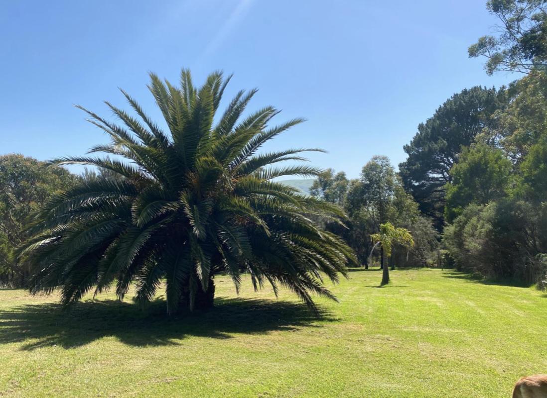 Great Ocean Road Wellness and Nature Stay