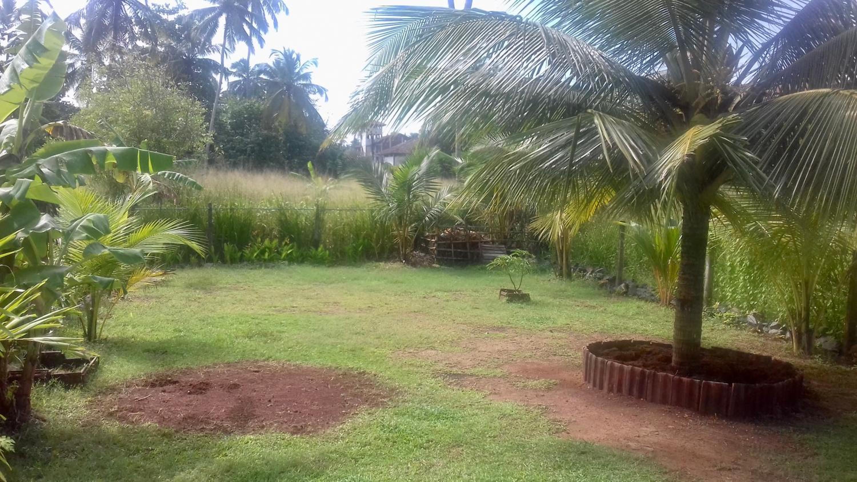 Induruwa Cottage