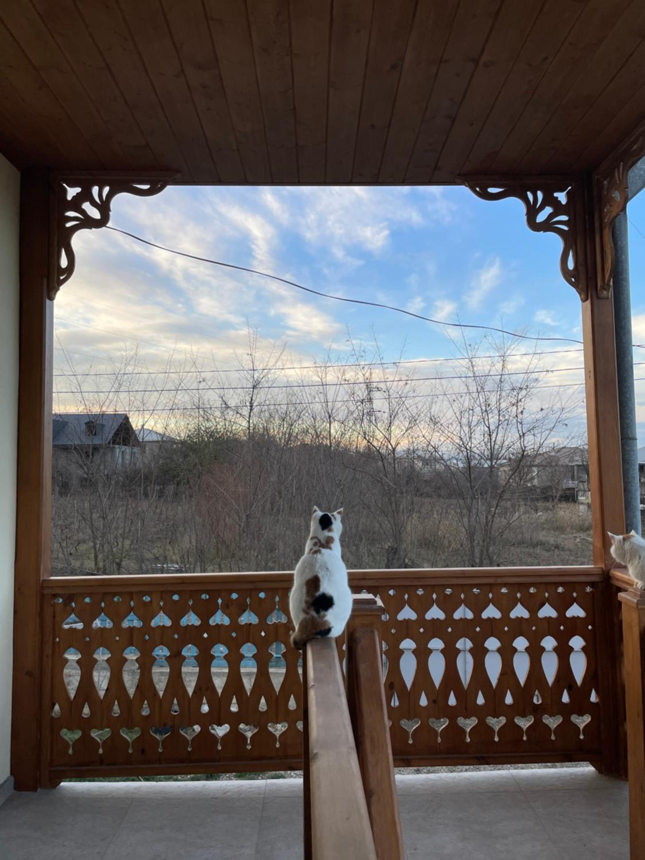 Friendly Home