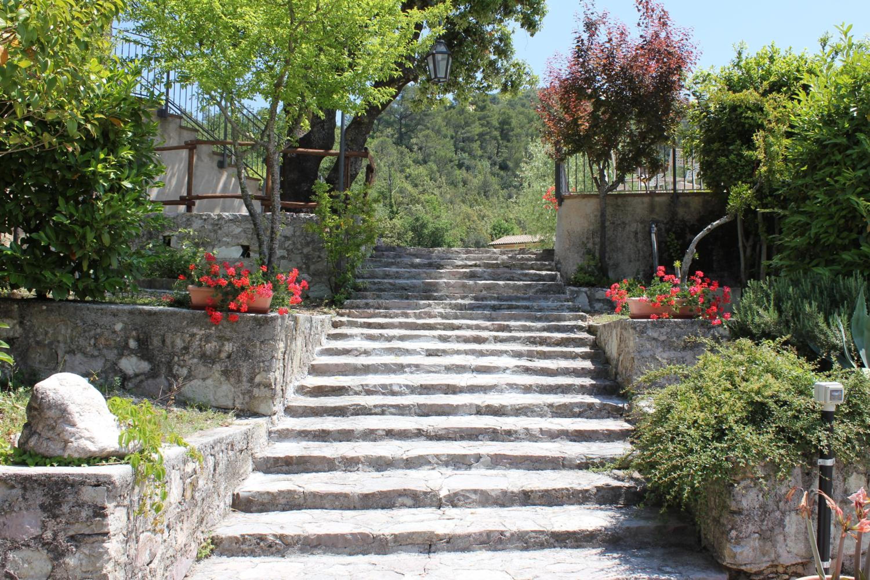 Photo 36
