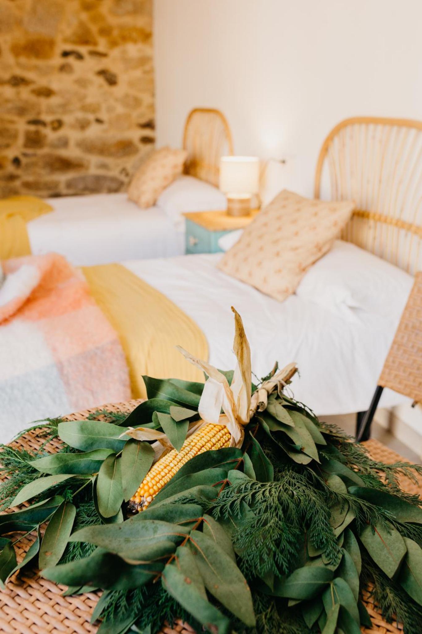 Casa do Cuco - Rural house - Property Image 31