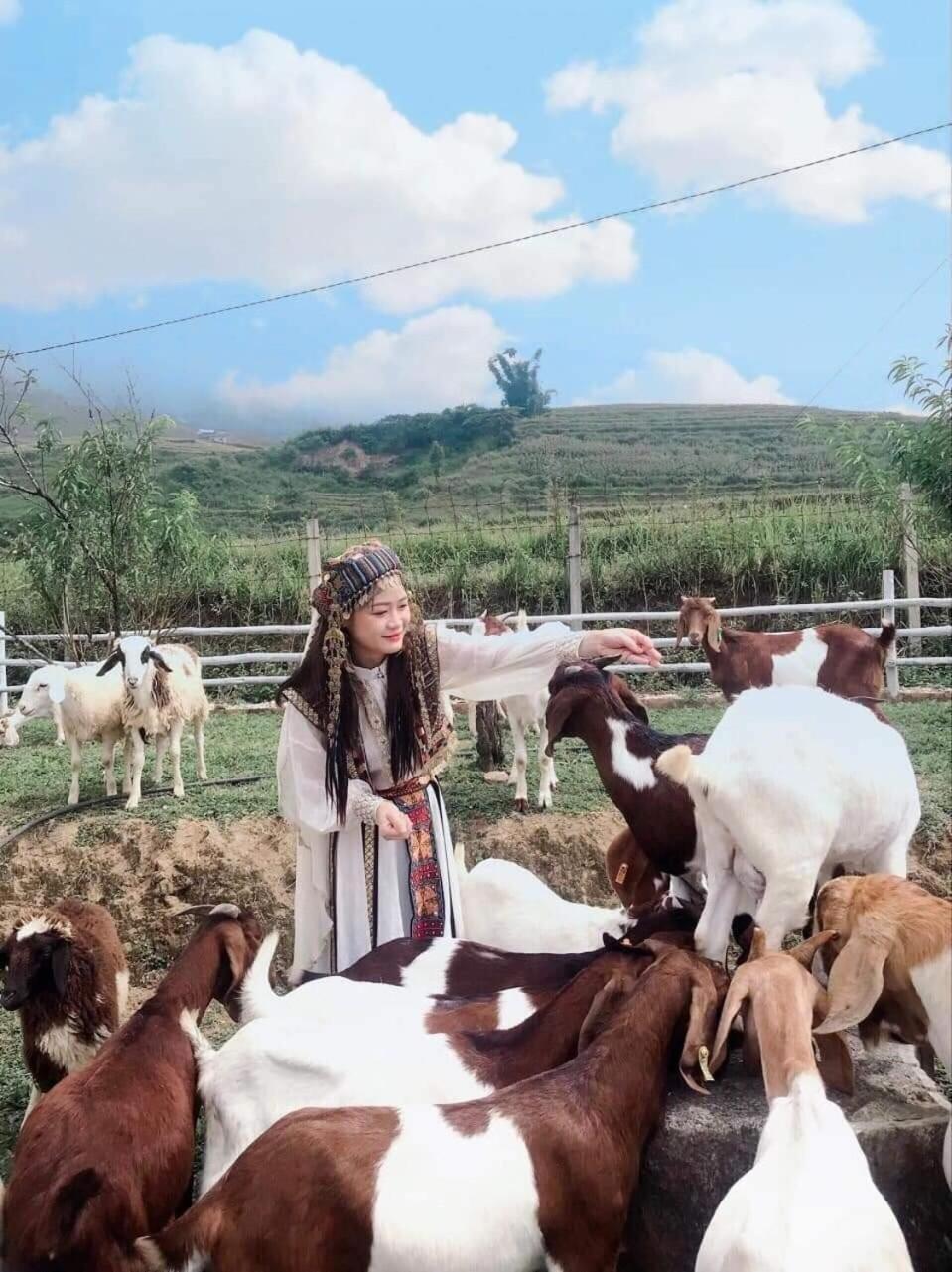 O Châu Homestay Lào Cai view 4