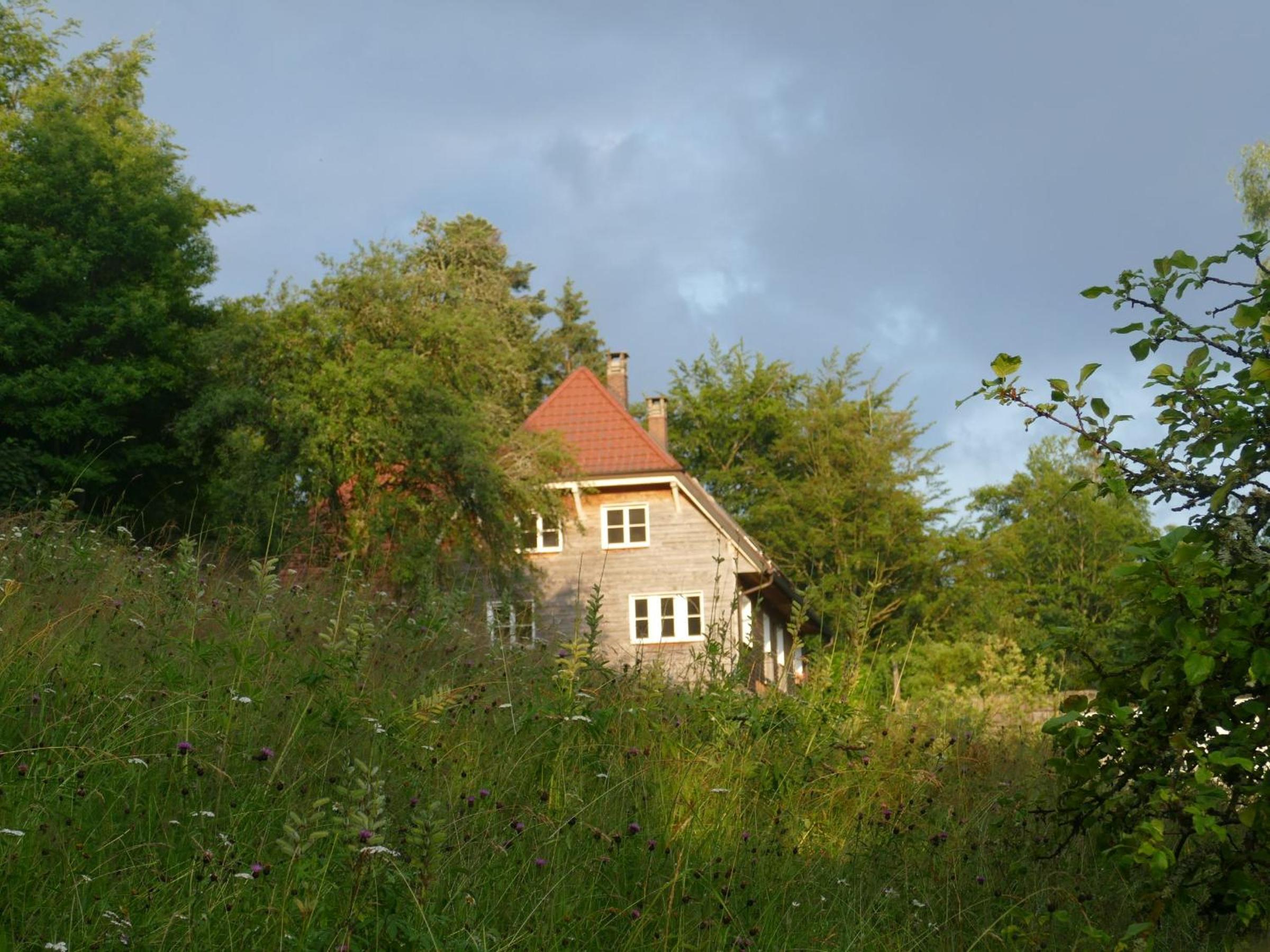 Photo 25