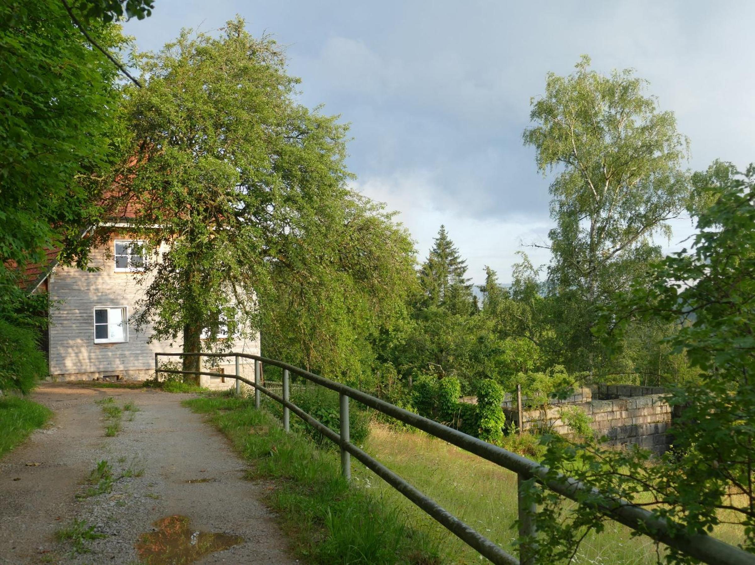 Photo 24