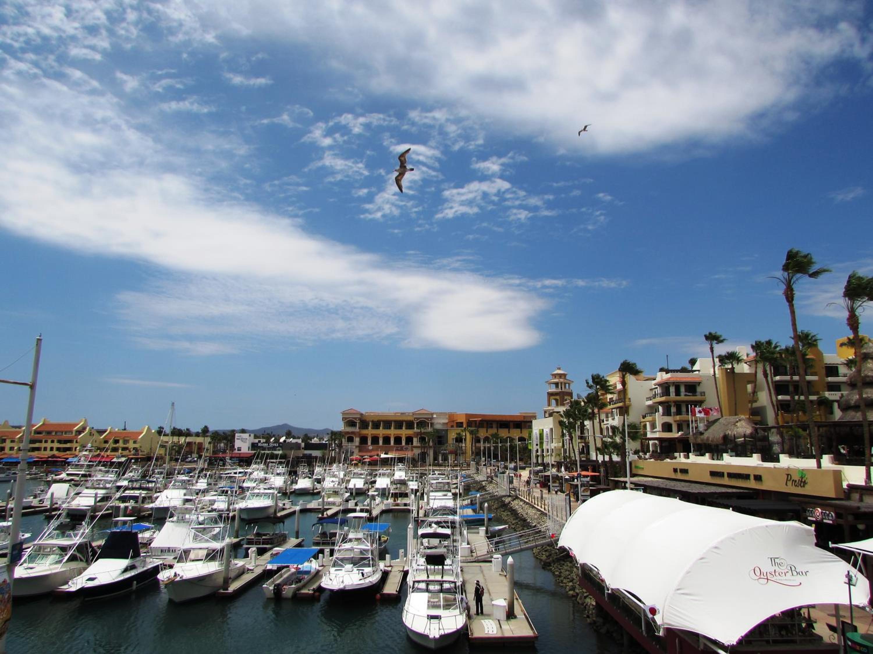 Marina Cabo Plaza Town & Beach Condos view 5