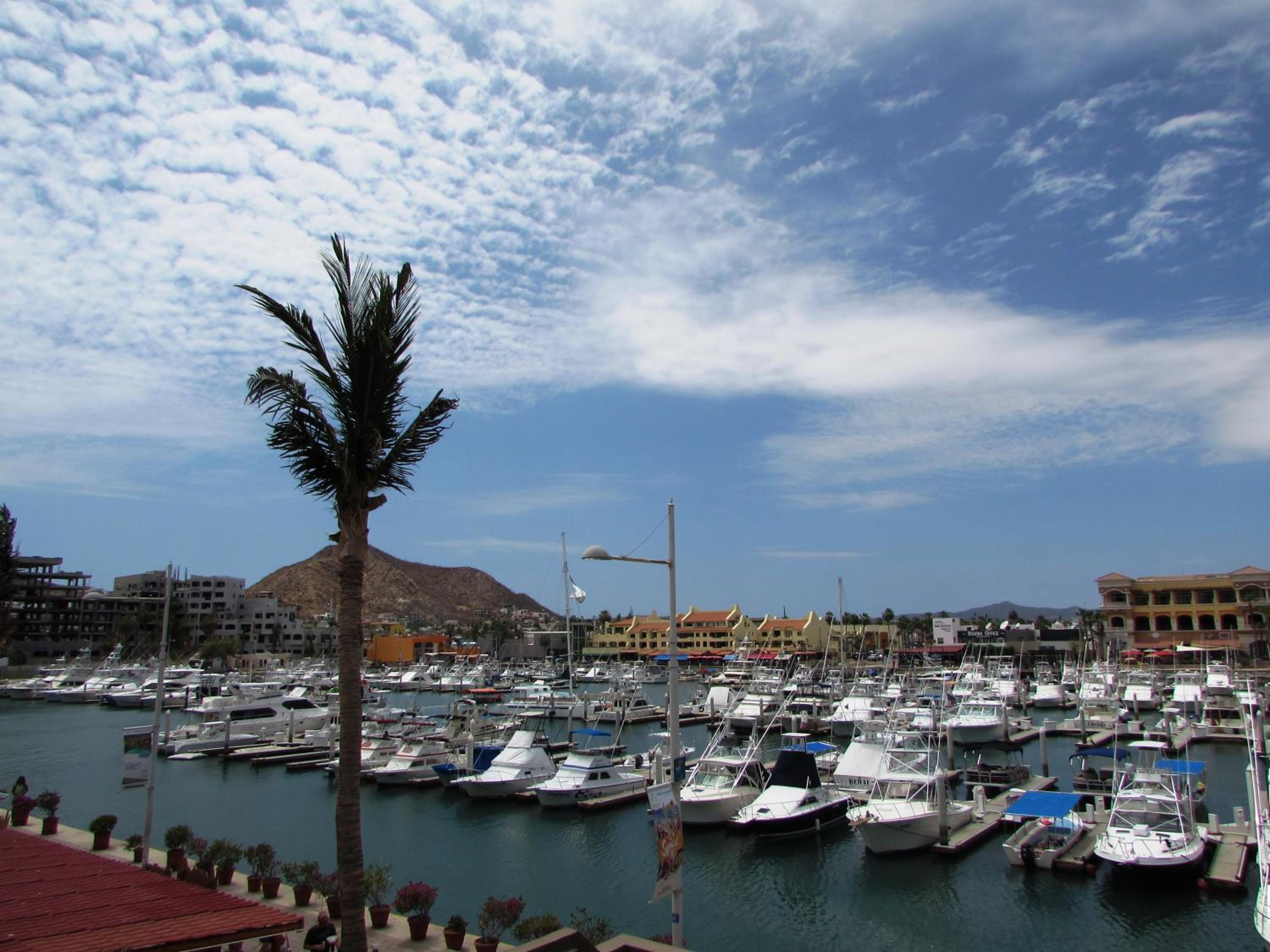Marina Cabo Plaza Town & Beach Condos view 3