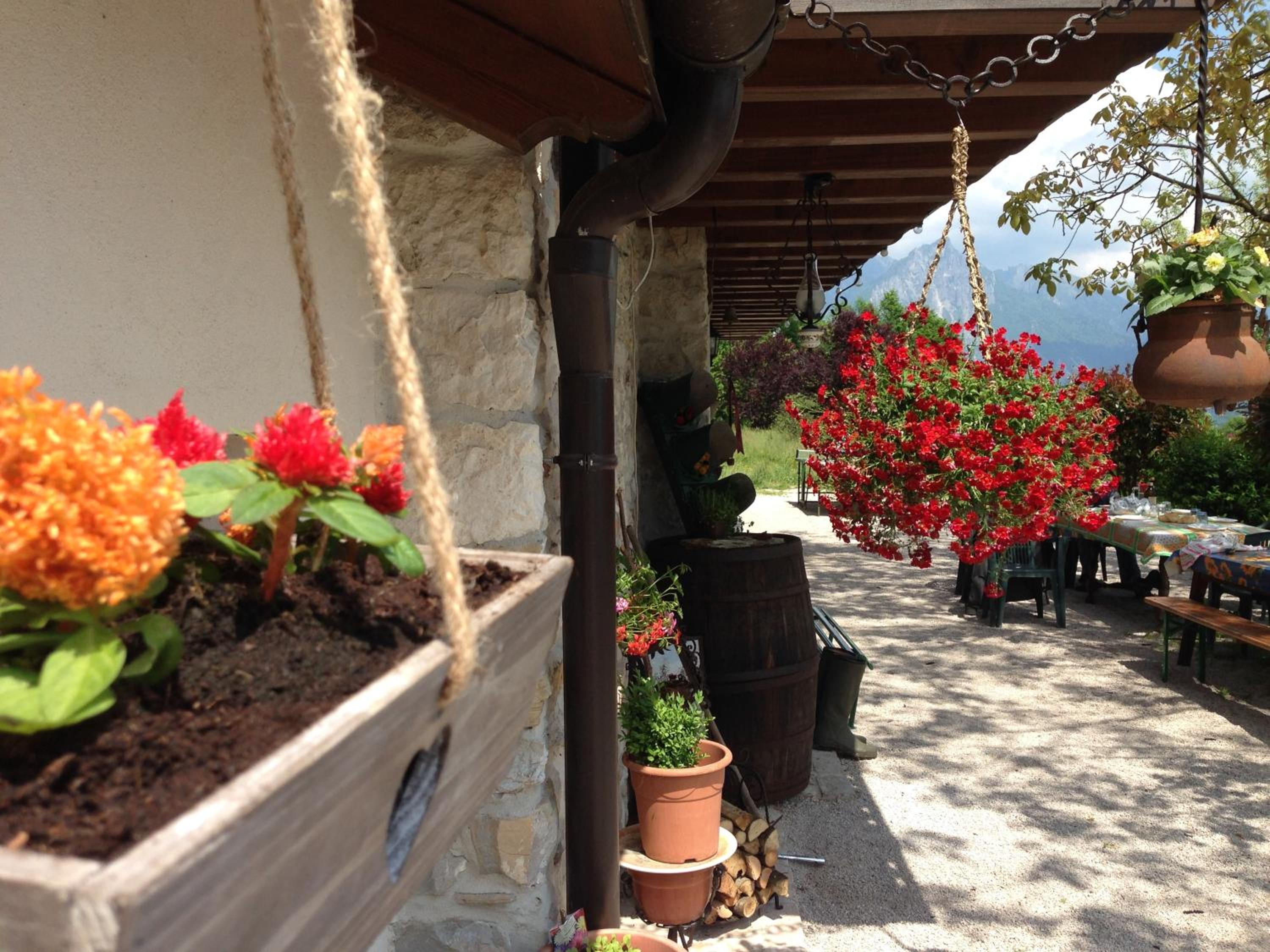 Agriturismo Dagai view 3