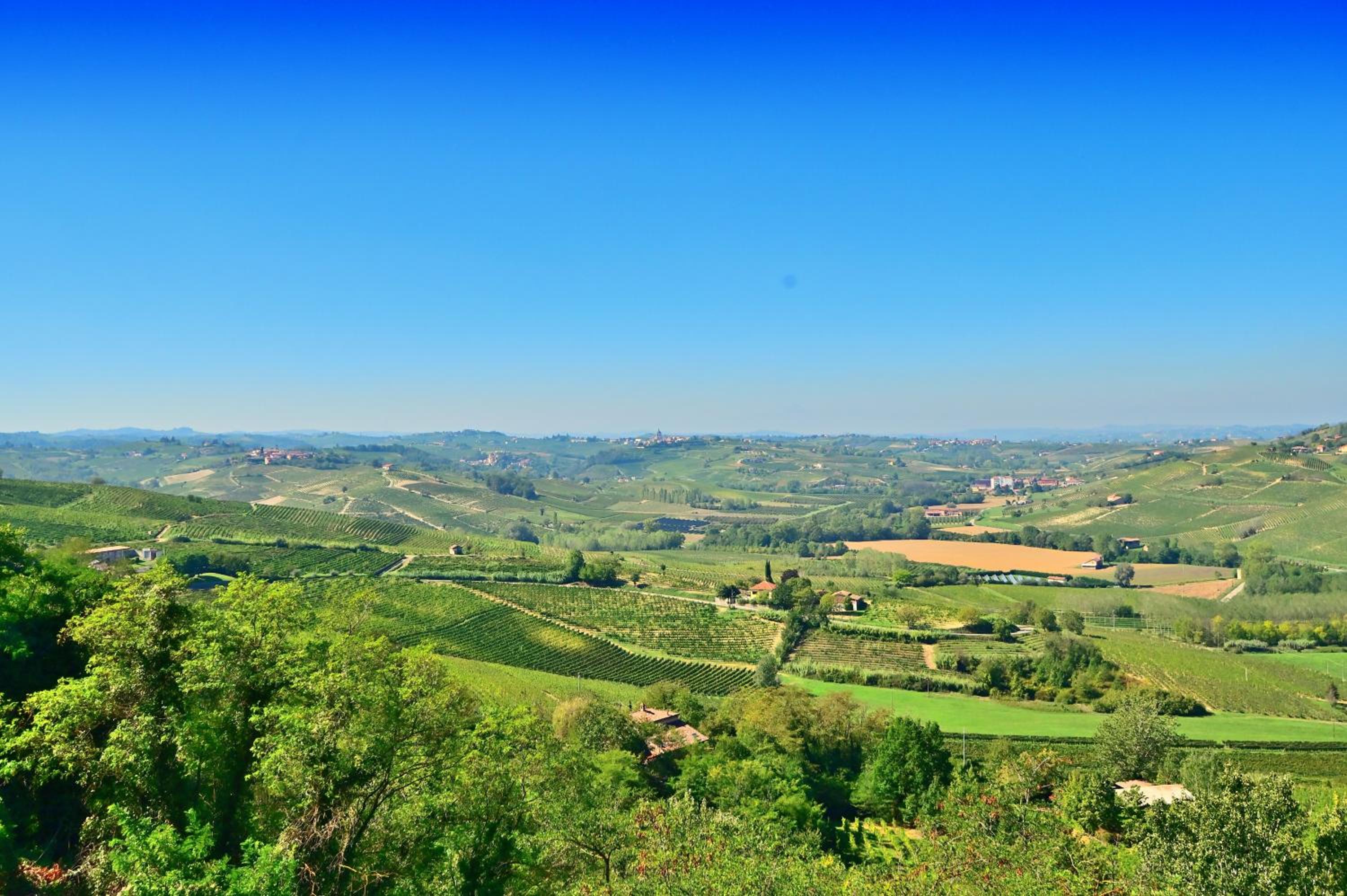 Agriturismo Ma Che Bel Castello